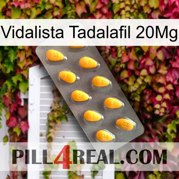 Vidalista Tadalafil 20Mg cialis1.jpg